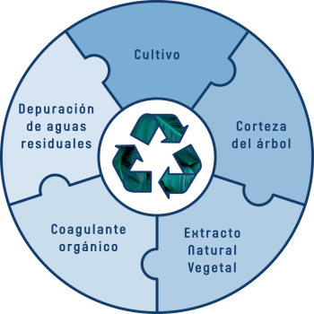 Economia Circular 350x350 - Ventajas